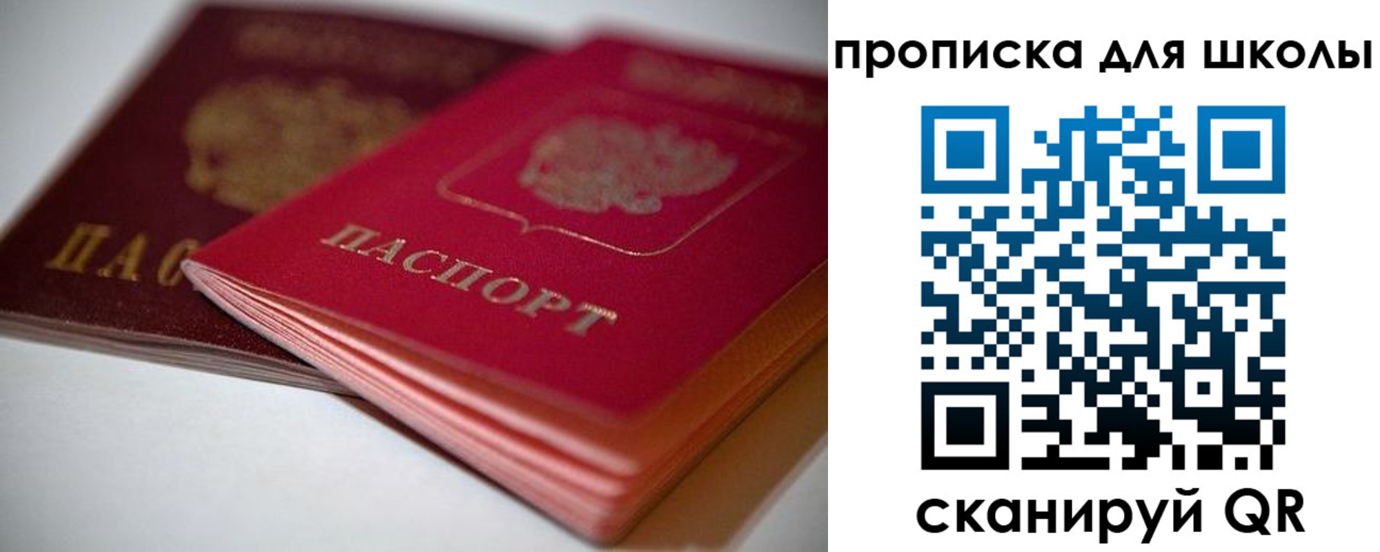 прописка для школы в Краснозаводске